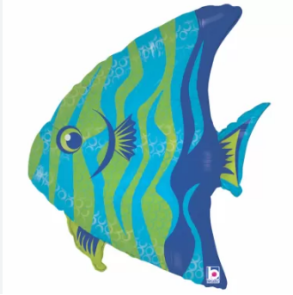 pesce bluverde